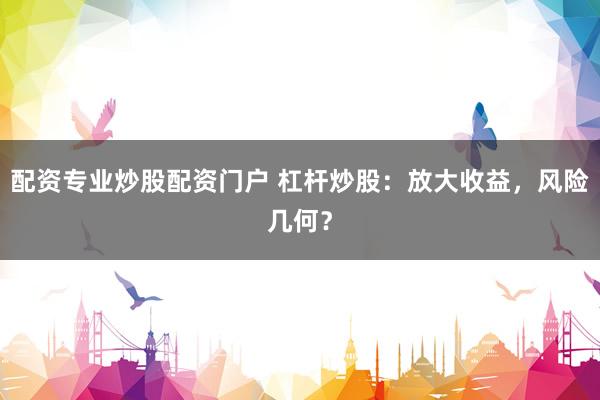 配资专业炒股配资门户 杠杆炒股：放大收益，风险几何？