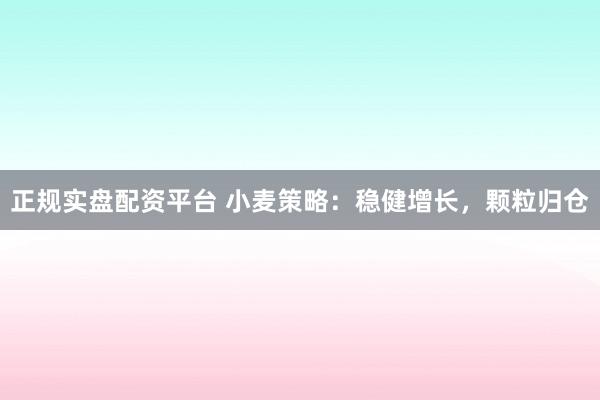 正规实盘配资平台 小麦策略：稳健增长，颗粒归仓
