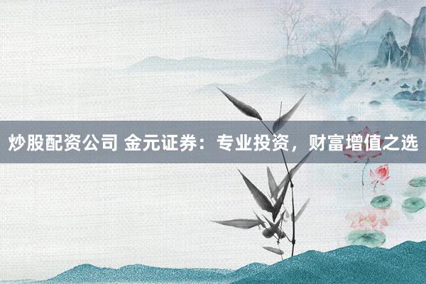 炒股配资公司 金元证券：专业投资，财富增值之选