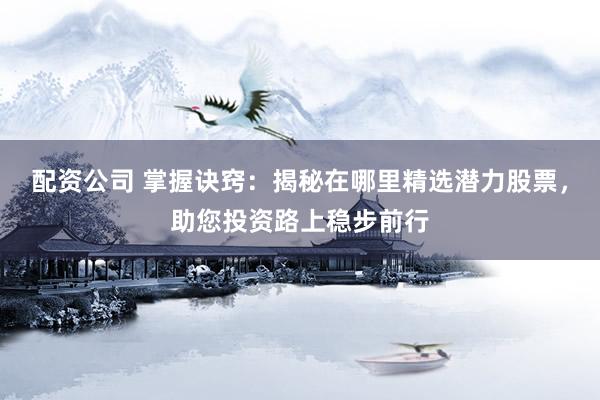 配资公司 掌握诀窍：揭秘在哪里精选潜力股票，助您投资路上稳步前行