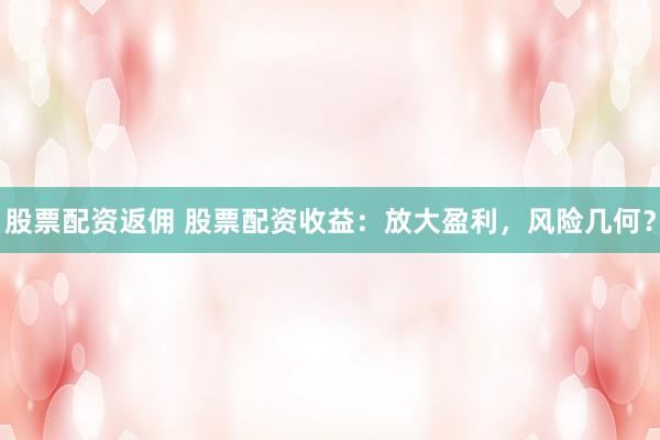 股票配资返佣 股票配资收益：放大盈利，风险几何？