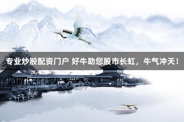 专业炒股配资门户 好牛助您股市长虹，牛气冲天！