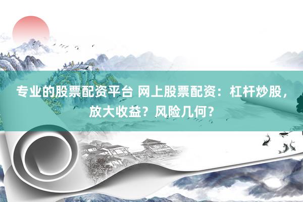 专业的股票配资平台 网上股票配资：杠杆炒股，放大收益？风险几何？