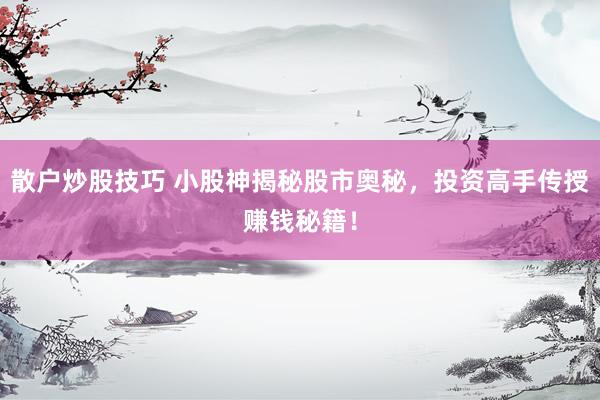 散户炒股技巧 小股神揭秘股市奥秘，投资高手传授赚钱秘籍！