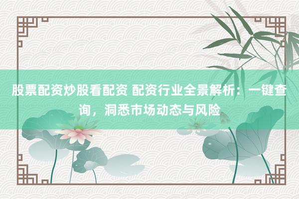 股票配资炒股看配资 配资行业全景解析：一键查询，洞悉市场动态与风险
