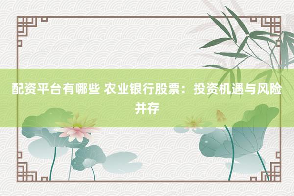 配资平台有哪些 农业银行股票：投资机遇与风险并存