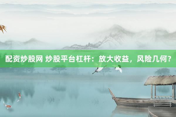 配资炒股网 炒股平台杠杆：放大收益，风险几何？