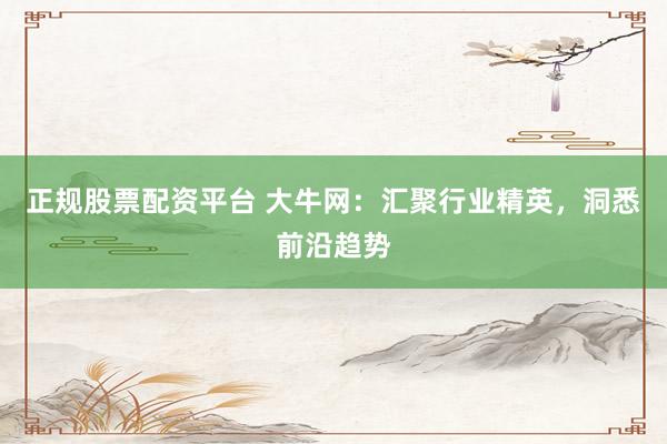 正规股票配资平台 大牛网：汇聚行业精英，洞悉前沿趋势