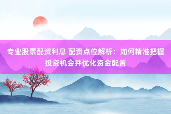 专业股票配资利息 配资点位解析:如何精准把握投资机会并优化资金配置