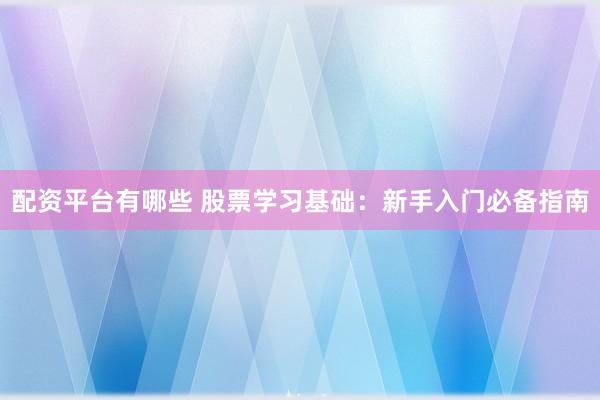 配资平台有哪些 股票学习基础：新手入门必备指南