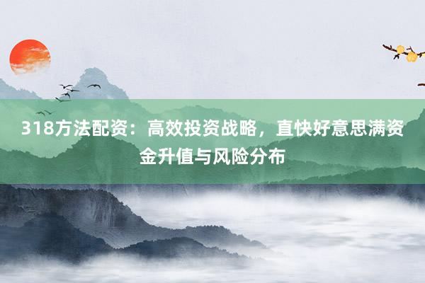 318方法配资：高效投资战略，直快好意思满资金升值与风险分布