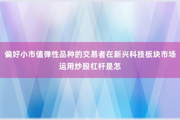 偏好小市值弹性品种的交易者在新兴科技板块市场运用炒股杠杆是怎