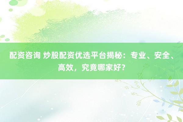 配资咨询 炒股配资优选平台揭秘：专业、安全、高效，究竟哪家好？