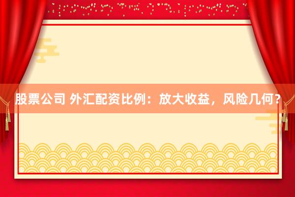 股票公司 外汇配资比例：放大收益，风险几何？