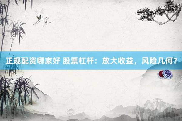 正规配资哪家好 股票杠杆：放大收益，风险几何？